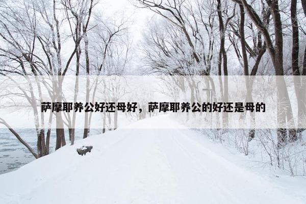 萨摩耶养公好还母好，萨摩耶养公的好还是母的