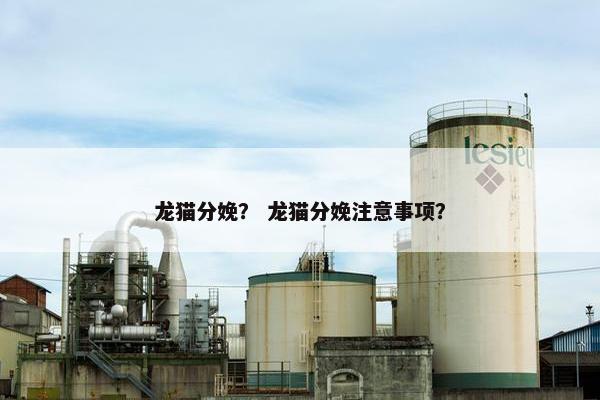 龙猫分娩？ 龙猫分娩注意事项？