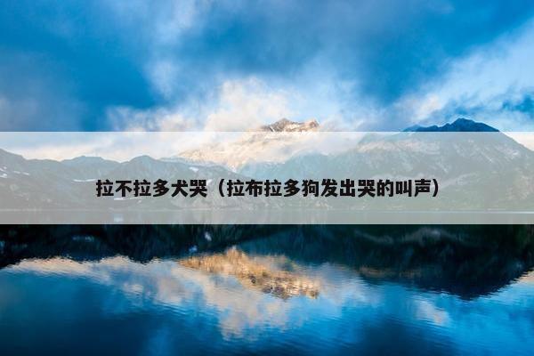 拉不拉多犬哭（拉布拉多狗发出哭的叫声）