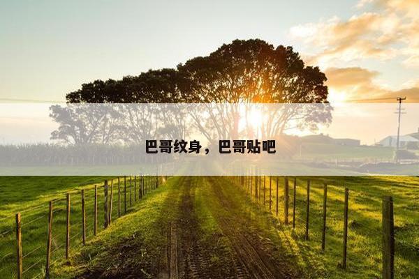 巴哥纹身，巴哥贴吧