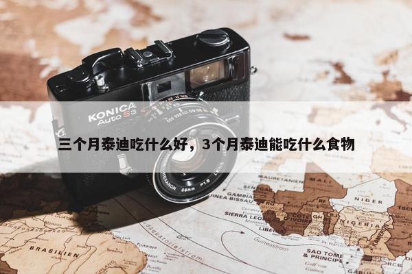 三个月泰迪吃什么好，3个月泰迪能吃什么食物