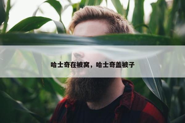 哈士奇在被窝，哈士奇盖被子