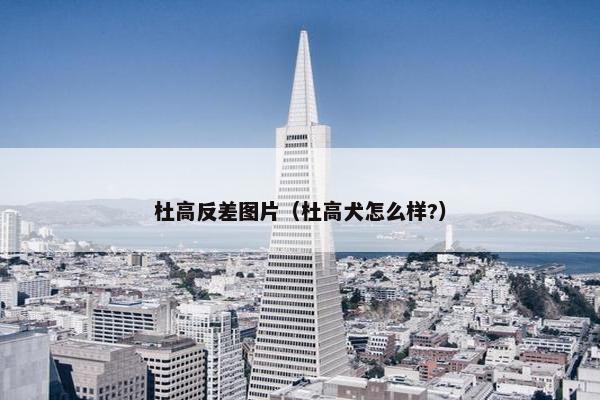 杜高反差图片（杜高犬怎么样?）