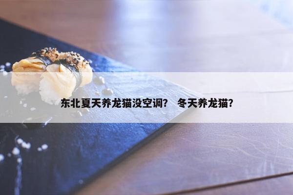 东北夏天养龙猫没空调？ 冬天养龙猫？