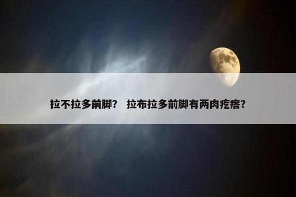 拉不拉多前脚？ 拉布拉多前脚有两肉疙瘩？