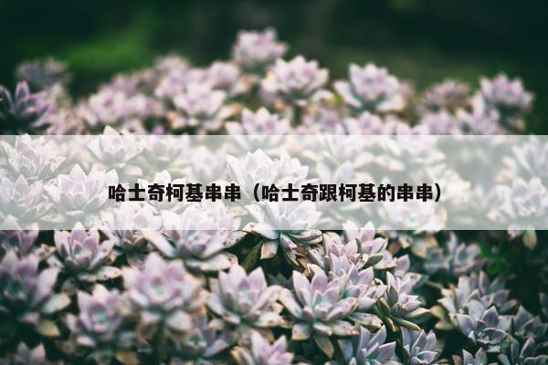 哈士奇柯基串串（哈士奇跟柯基的串串）