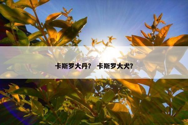 卡斯罗大丹？ 卡斯罗大犬？