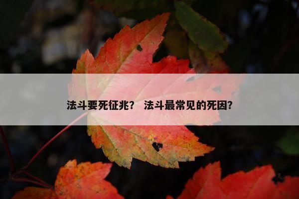 法斗要死征兆？ 法斗最常见的死因？