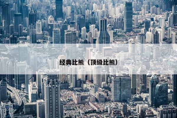 经典比熊（顶级比熊）