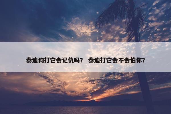 泰迪狗打它会记仇吗？ 泰迪打它会不会怕你？