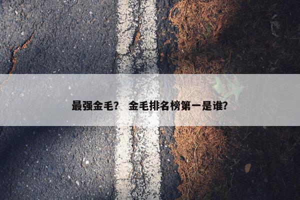 最强金毛？ 金毛排名榜第一是谁？