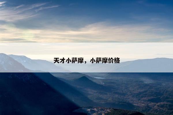 天才小萨摩，小萨摩价格