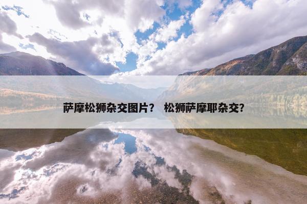 萨摩松狮杂交图片？ 松狮萨摩耶杂交？