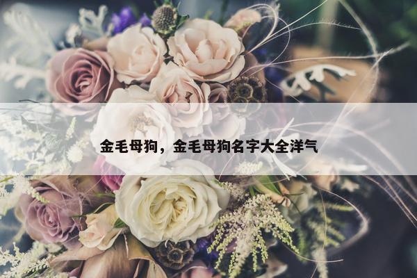 金毛母狗，金毛母狗名字大全洋气