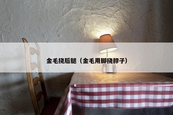 金毛挠后腿（金毛用脚挠脖子）