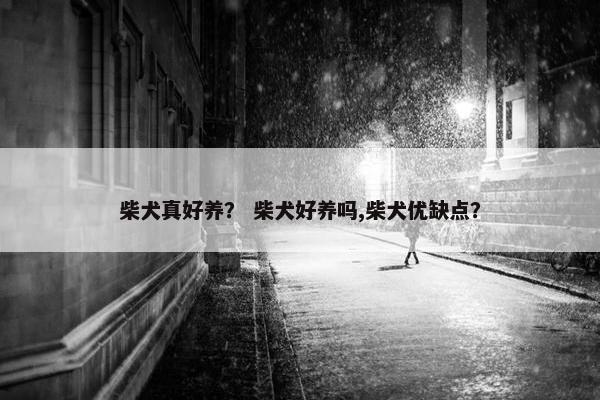 柴犬真好养？ 柴犬好养吗,柴犬优缺点？