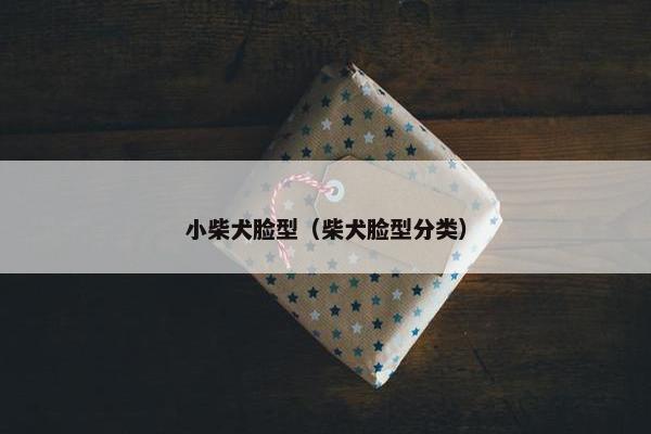 小柴犬脸型（柴犬脸型分类）