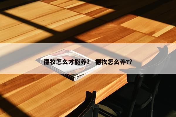 德牧怎么才能养？ 德牧怎么养?？