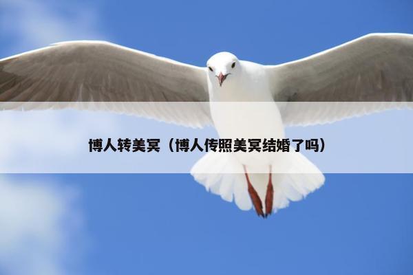 博人转美冥（博人传照美冥结婚了吗）