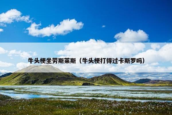 牛头梗坐劳斯莱斯（牛头梗打得过卡斯罗吗）
