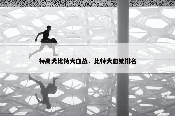 特高犬比特犬血战，比特犬血统排名