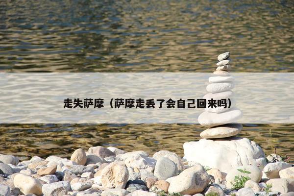 走失萨摩（萨摩走丢了会自己回来吗）