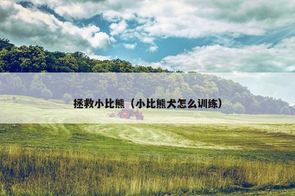 拯救小比熊（小比熊犬怎么训练）