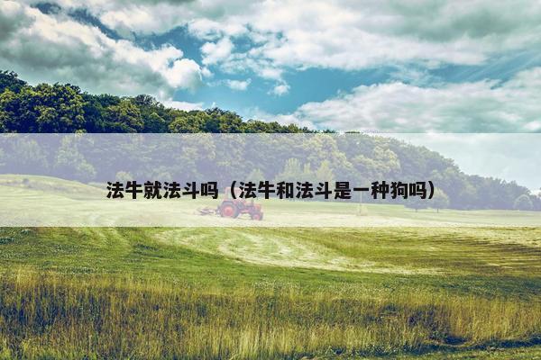 法牛就法斗吗（法牛和法斗是一种狗吗）