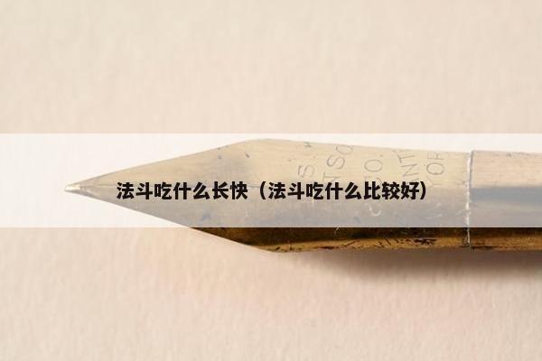 法斗吃什么长快（法斗吃什么比较好）