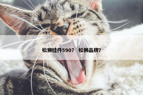 松狮挂件590？ 松狮品牌？