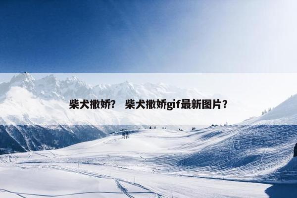 柴犬撒娇？ 柴犬撒娇gif最新图片？