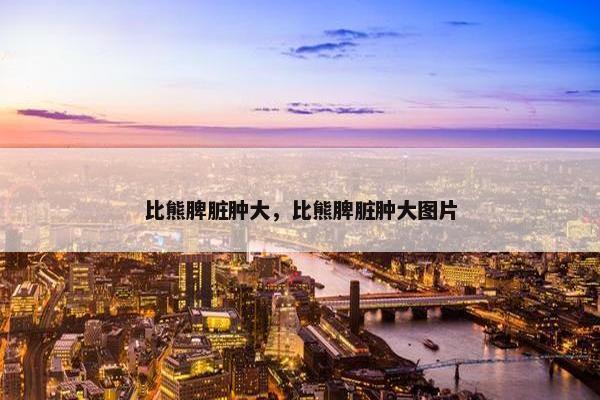 比熊脾脏肿大，比熊脾脏肿大图片