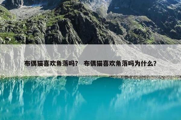 布偶猫喜欢角落吗？ 布偶猫喜欢角落吗为什么？