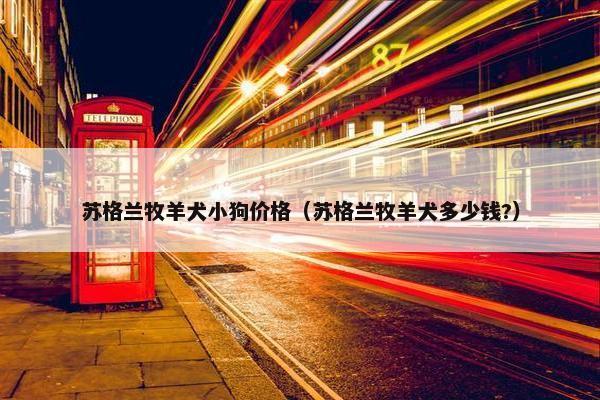 苏格兰牧羊犬小狗价格（苏格兰牧羊犬多少钱?）