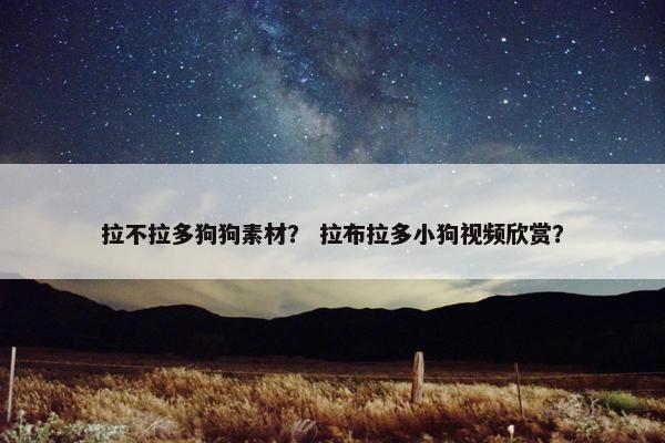 拉不拉多狗狗素材？ 拉布拉多小狗视频欣赏？