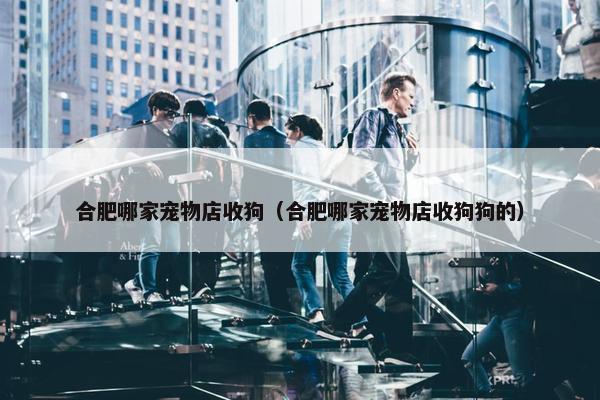 合肥哪家宠物店收狗（合肥哪家宠物店收狗狗的）