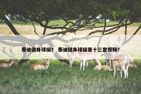 泰迪健身球操？ 泰迪健身球操第十三套视频？