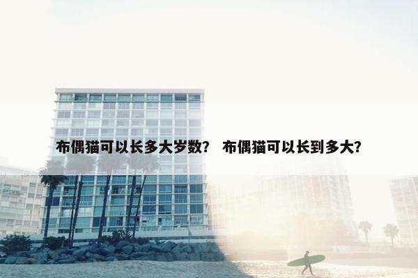 布偶猫可以长多大岁数？ 布偶猫可以长到多大？