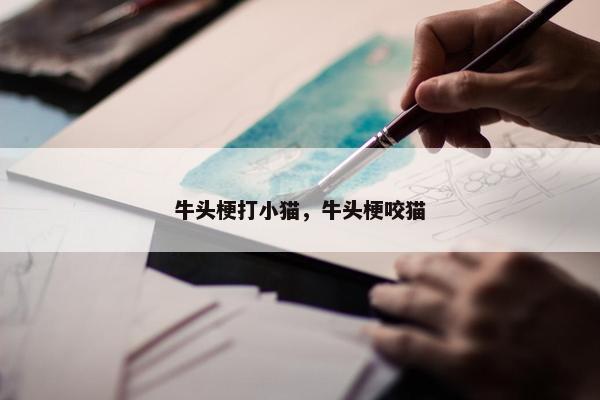 牛头梗打小猫，牛头梗咬猫