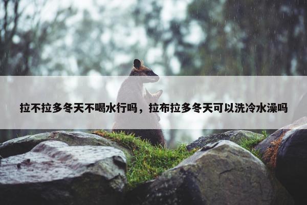 拉不拉多冬天不喝水行吗，拉布拉多冬天可以洗冷水澡吗