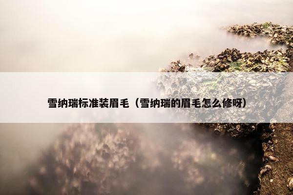 雪纳瑞标准装眉毛（雪纳瑞的眉毛怎么修呀）