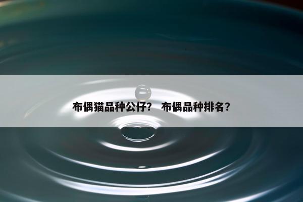 布偶猫品种公仔？ 布偶品种排名？