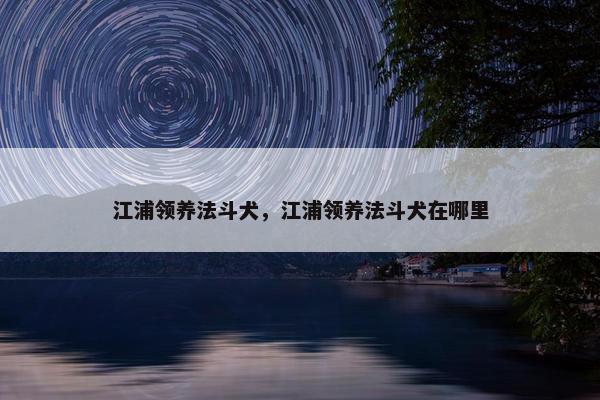 江浦领养法斗犬，江浦领养法斗犬在哪里
