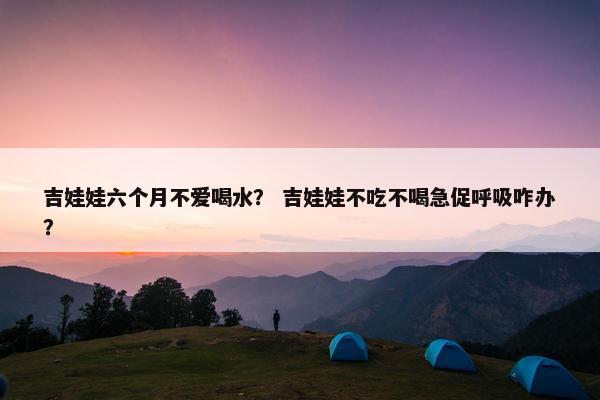吉娃娃六个月不爱喝水？ 吉娃娃不吃不喝急促呼吸咋办？