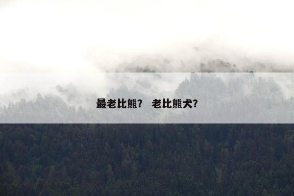 最老比熊？ 老比熊犬？