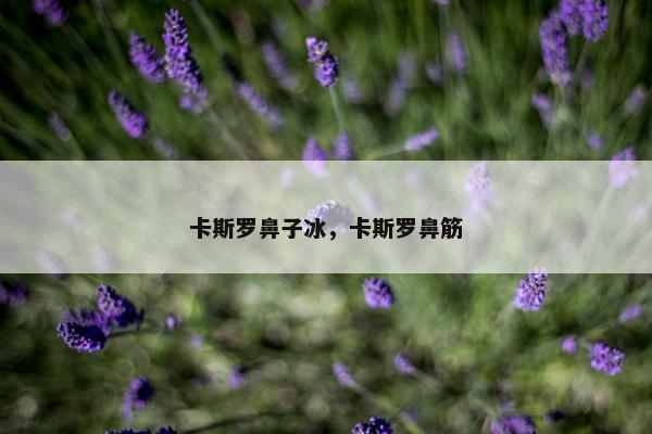 卡斯罗鼻子冰，卡斯罗鼻筋