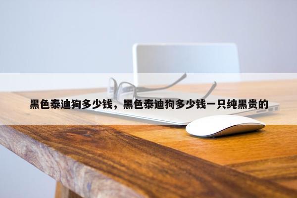 黑色泰迪狗多少钱，黑色泰迪狗多少钱一只纯黑贵的