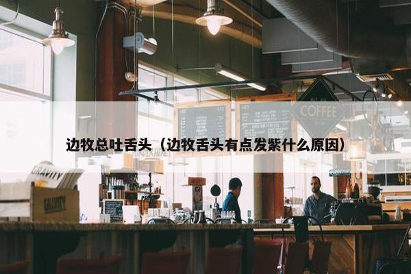 边牧总吐舌头（边牧舌头有点发紫什么原因）
