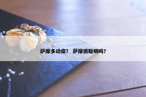 萨摩多动症？ 萨摩很聪明吗？