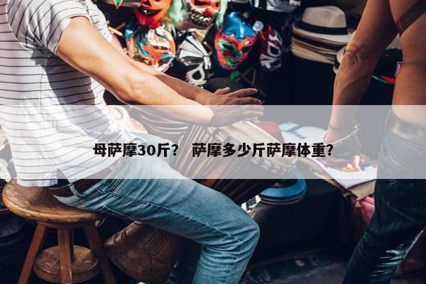 母萨摩30斤？ 萨摩多少斤萨摩体重？